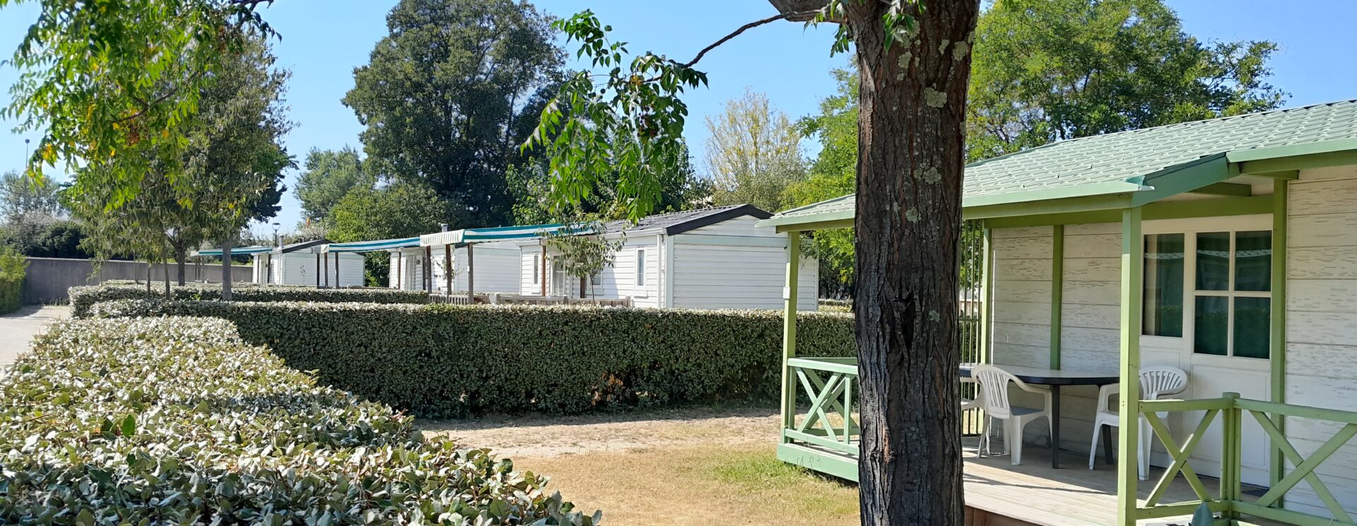 image illustratif des locations dans le camping à cavaillon