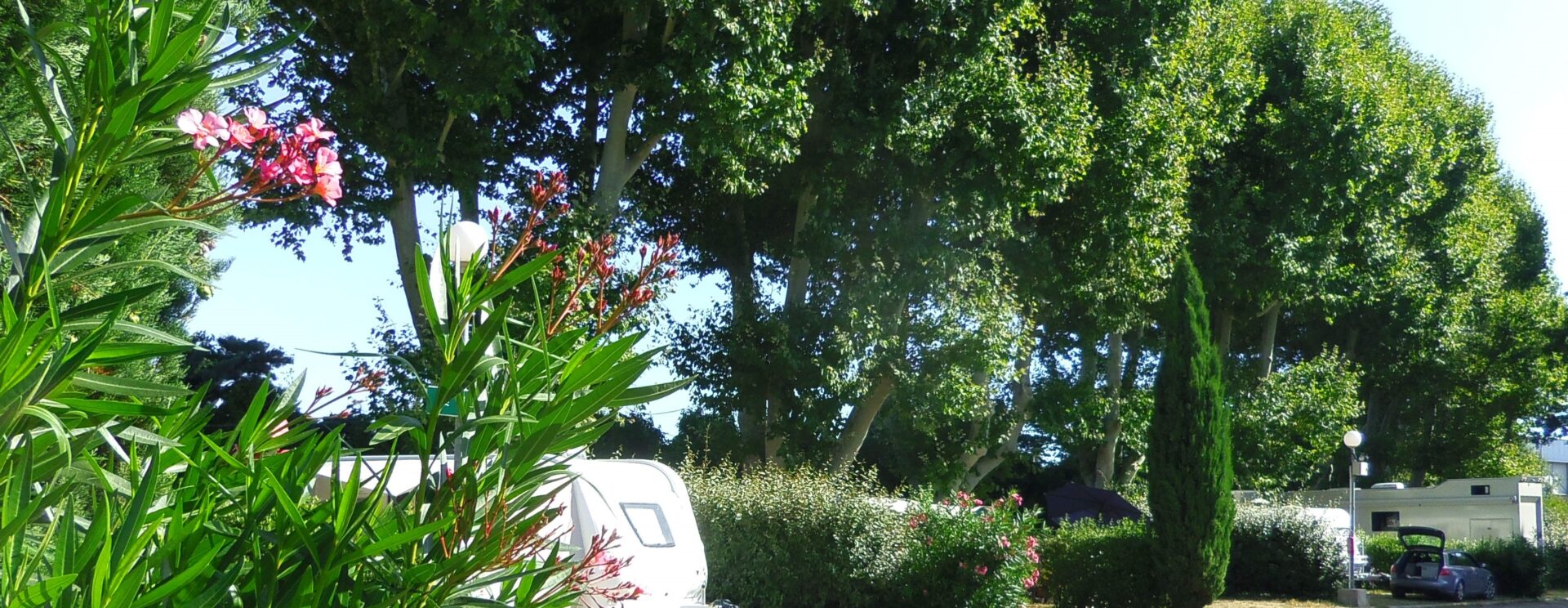 Vue sur allée avec emplacements conforts à Cavaillon en Vaucluse avec caravane à l'ombre